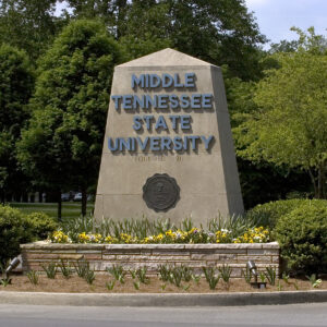 Nashville Additional Test Report Form Electronic/Free